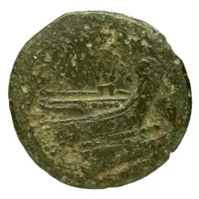 coin rev