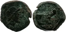 coin rev