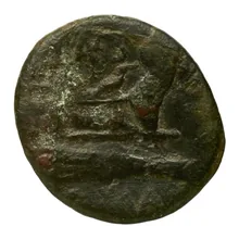 coin rev