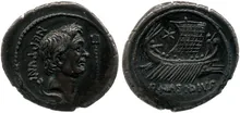 coin rev