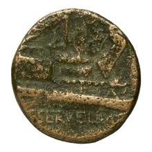 coin rev
