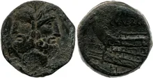 coin rev