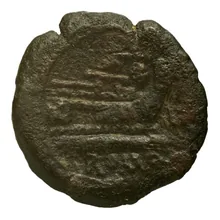 coin rev