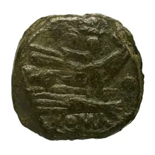 coin rev