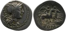 coin rev