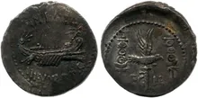 coin rev