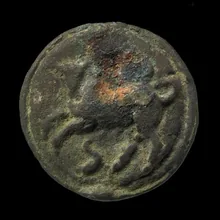 coin rev