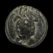 coin rev