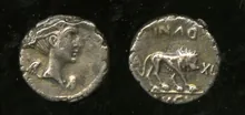 coin rev