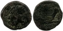 coin rev