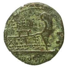 coin rev