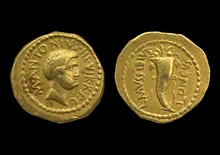 coin rev