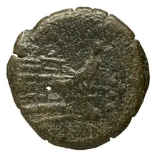 coin rev