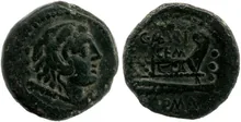 coin rev
