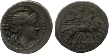 RRC 44/7