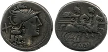 coin rev