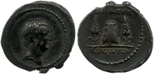 coin rev