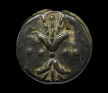 coin rev