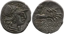 coin rev