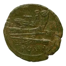 coin rev