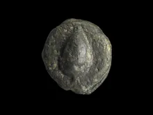 coin obv