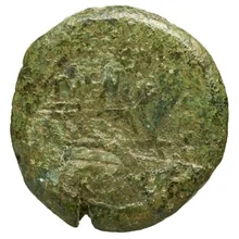 coin rev