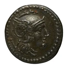 coin obv