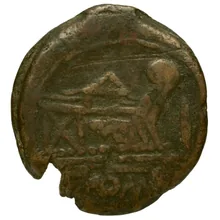 coin rev