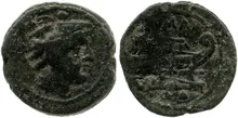 coin rev