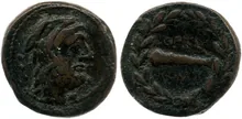 coin rev
