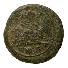 coin rev