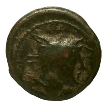 coin obv