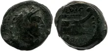 coin rev