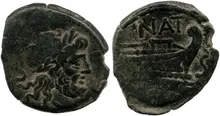 coin rev
