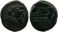 coin rev