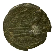 coin rev