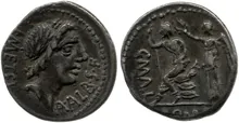 coin rev