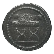 coin rev