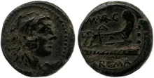 coin rev