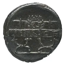 coin rev