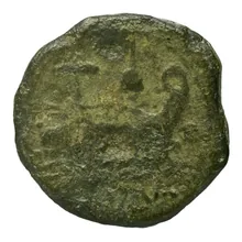 coin rev