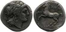 coin rev