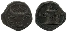 coin rev