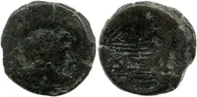coin rev