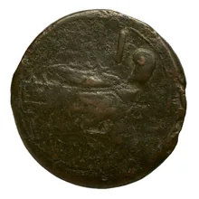 coin rev