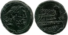 coin rev