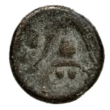 coin rev
