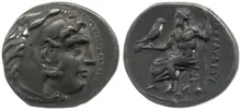 coin rev