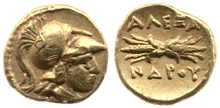 coin rev