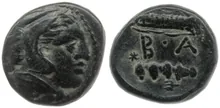 coin rev